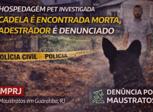 Adestrador dennciado