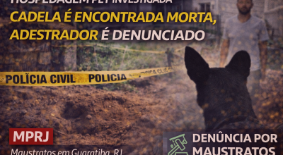 Adestrador dennciado