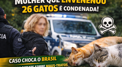 ChatGPT Image 21 de dez. de 2025, 09_12_11