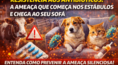 ChatGPT Image 24 de dez. de 2025, 06_39_26