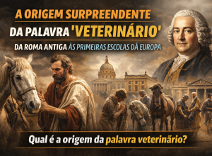 ChatGPT Image 27 de fev. de 2026, 07_59_53