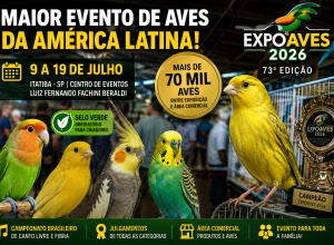 Evento aves