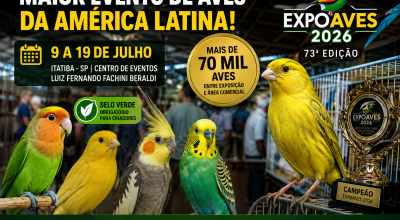 Evento aves