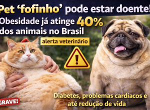 Pet obeso