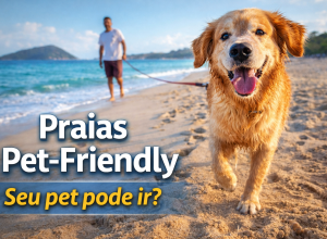 Pet praia