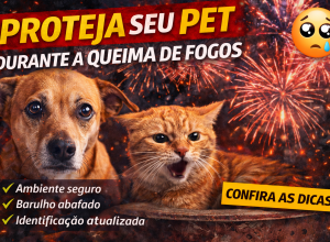 Queima de fogos