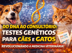 do dna a comsukterio