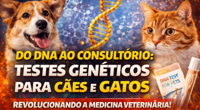 do dna a comsukterio