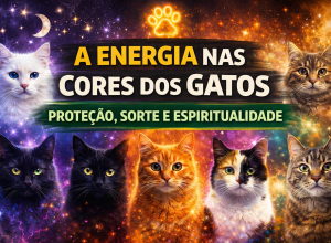 energgia dos cat