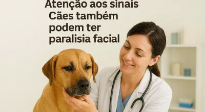 paralisia em caes